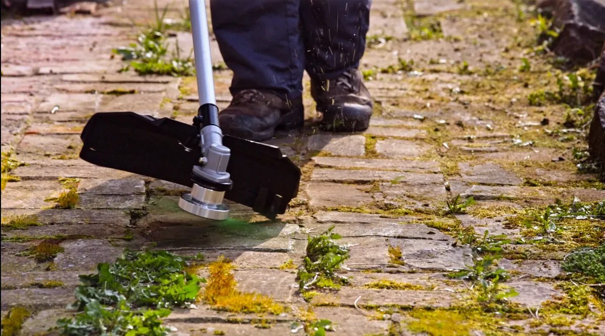 Spazzola Per Erbacce Da 10", Spazzola Per Decespugliatore, Spazzola In Acciaio Ispessita, Spazzola Professionale Per Decespugliatore, Spazzola Conica Per Decespugliatore, Per La Rimozione Efficace