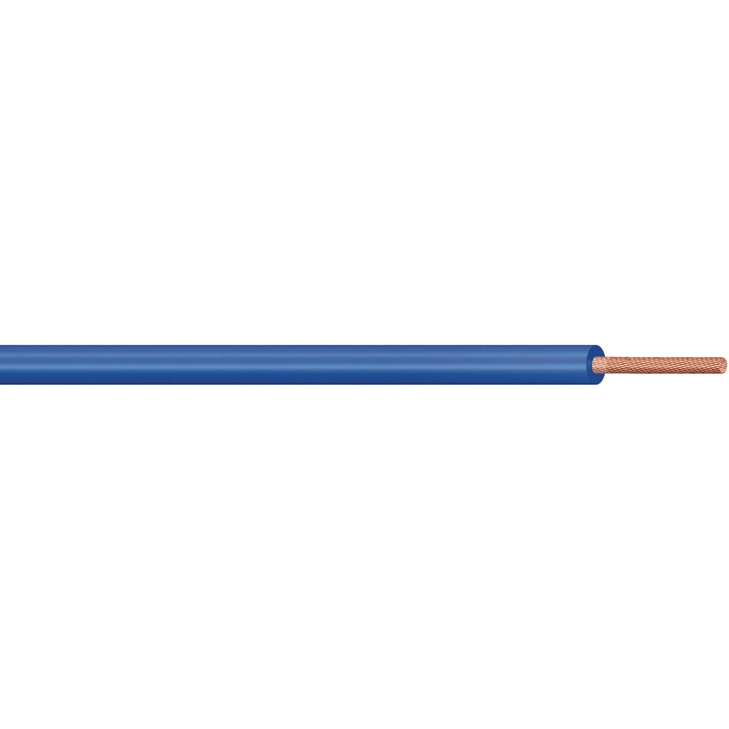 Cavo Elettrico Auto FLRY-B 2,5 Mm² - 10 Metri, Colore Blu - Resistente A Olio E Carburante, Made In Germany
