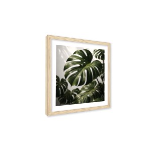 Stampa incorniciata 25x25 cm set piante - monstera