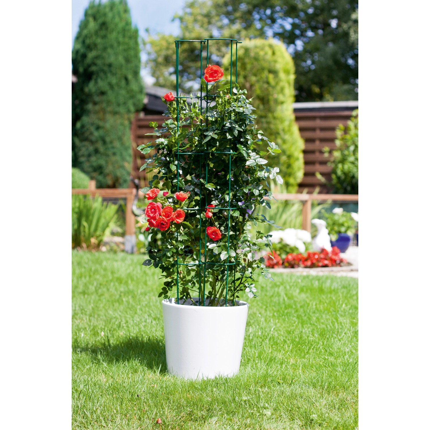 Grigliato verde ad incastro (110 cm) con rosa in vaso bianco. Ideale come supporto per piante rampicanti.