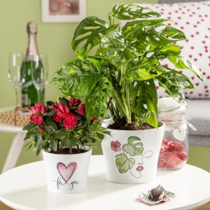 Vaso Scheurich With Love con piante da interno su tavolo, ceramica, Ø 13 cm.