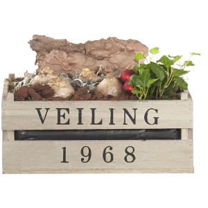 t.b.t. Composizione di piante in scatola di legno con bulbi, edera e decorazioni.