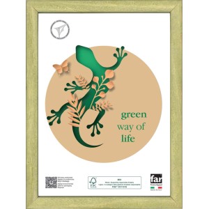 Cornice t.b.t. con motivo lucertola verde.