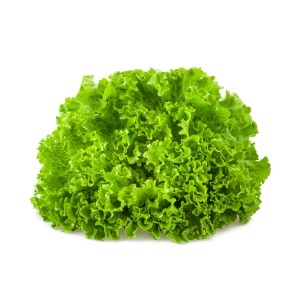 Lattuga fresca e verde, ideale per insalate e piatti di verdure.
