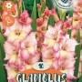 Bulbi da fiore Gladiolus Priscilla