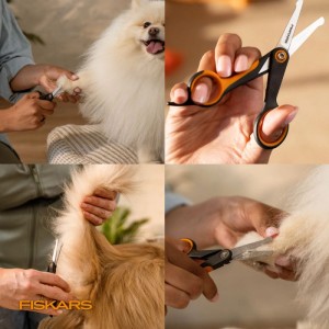 Forbici per animali con punte arrotondate per muso e zampe