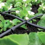 Sistema di irrigazione nero t.b.t. Microirrigazione tra le piante nell'aiuola.