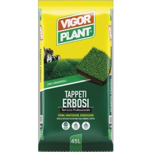 Sacco di terriccio per prato per un prato verde e denso. Ideale per la cura del prato.