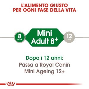 Royal Canin Mini Adult 8+ cibo secco per cani: Grafica con raccomandazioni sull'alimentazione.