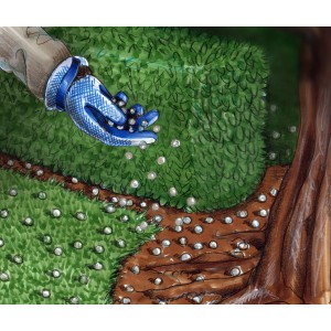 Applicazione di fertilizzante al ferro OBI su prato e siepe. Mano con fertilizzante sopra area verde.