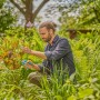 Uomo che pota piante con cesoie da giardino. Categoria: Attrezzi per il taglio.