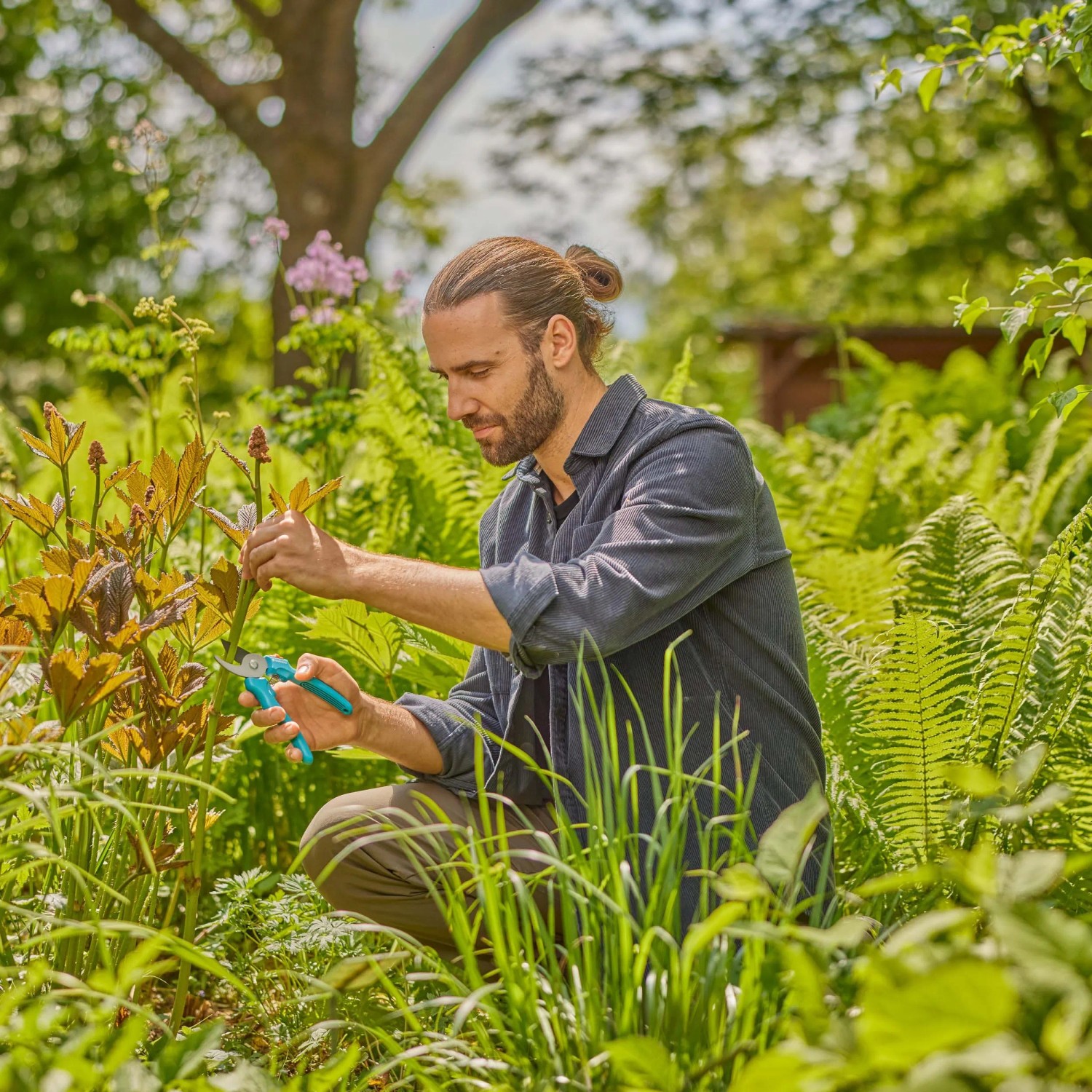 Uomo che pota piante con cesoie da giardino. Categoria: Attrezzi per il taglio.