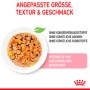 Royal Canin Kitten cibo umido in gelatina, alimento per gattini, porzione da 85g.