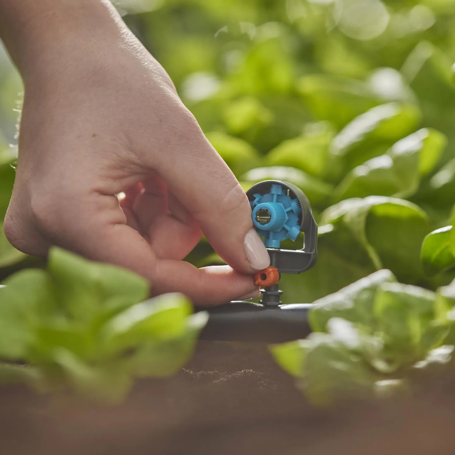 L'ugello a spruzzo Gardena 6 in 1 nel sistema micro-drip viene fissato a un tubo di alimentazione.