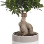 Bonsai in vaso con motivo colorato grigio e bianco.
