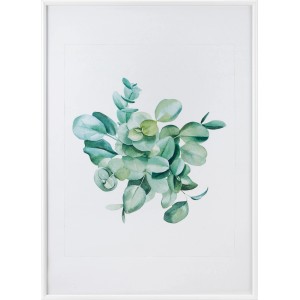 Cornice in plastica bianca 50x70 cm con motivo eucalipto ad acquerello.