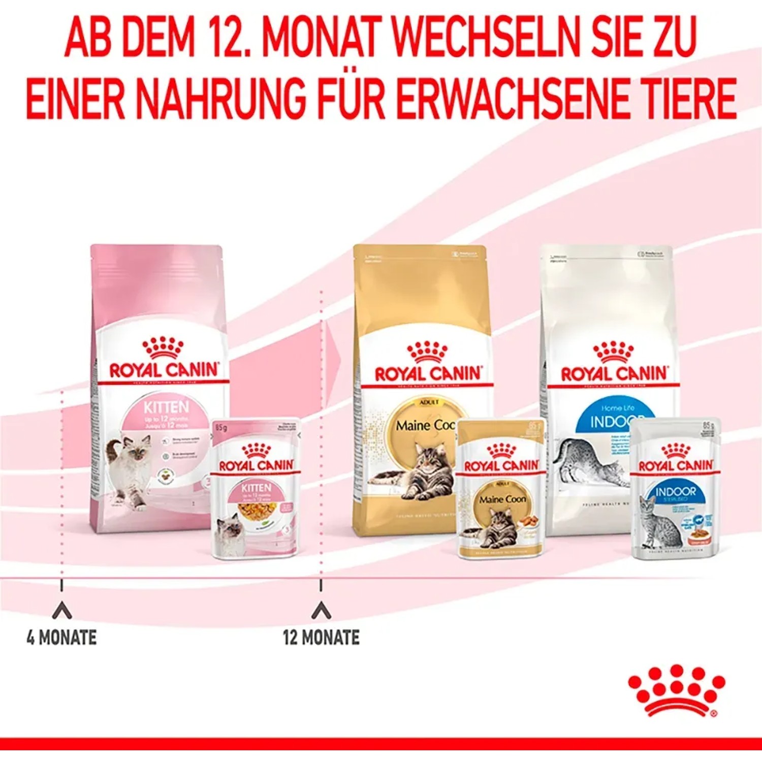 Confronto tra alimenti Royal Canin Kitten: umido e secco per gattini e gatti giovani.