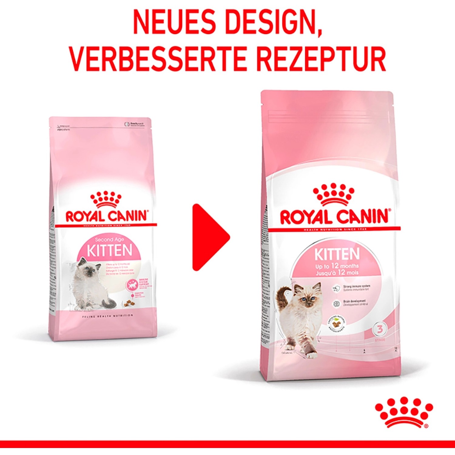 Royal Canin Kitten cibo secco, confezione da 2kg per gattini fino a 12 mesi.