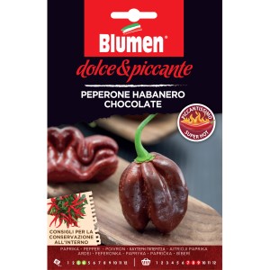 Semi per peperoncino 'Habanero Chocolate' di Blumen, varietà marrone cioccolato, molto piccante.