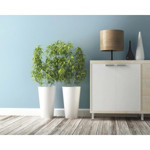 Due piante in vasi bianchi su sfondo blu chiaro, accanto a una credenza con lampada. Design d'interni decorativo.