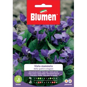 Confezione di semi di Viola mammola di Blumen.