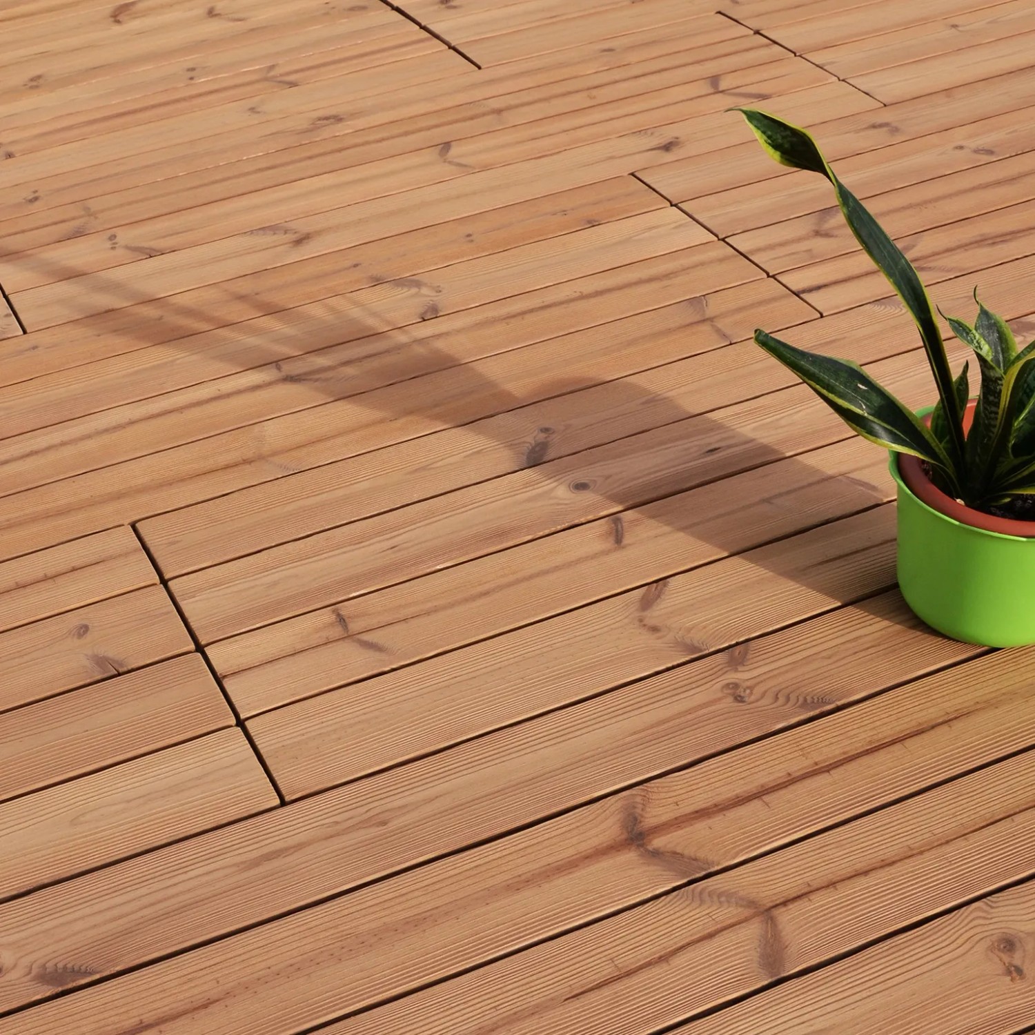 Piastrelle in legno marrone chiaro posate con pianta in vaso.