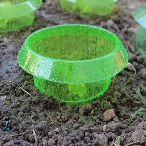 Proteggi piante per orto e giardino contro lumache e insetti striscianti
