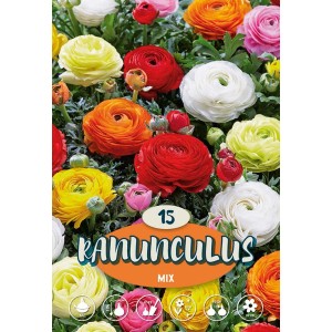 Ranuncoli Mix: Ranuncoli multicolori come bulbi da fiore per aiuole e balconi.