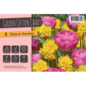 Bulbi da fiore 'Golden Cotton Candy': Tulipani e narcisi gialli e rosa.