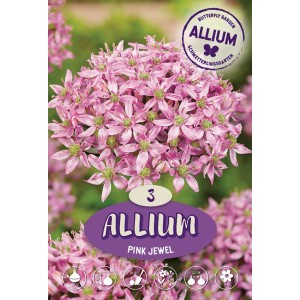 Cipolla ornamentale Pink Jewel: Fiore rosa, ideale per aiuole e giardini. Bulbo da fiore per una piantumazione colorata.