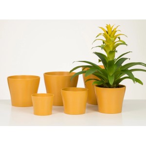 Scheurich portavaso 808 Curcuma, diverse dimensioni. Vasi in ceramica per interni.