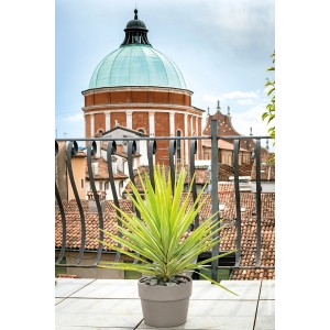 Deroma Cachepot Perfetto Grafite, Ø 24 cm, con pianta su balcone con vista sulla città.