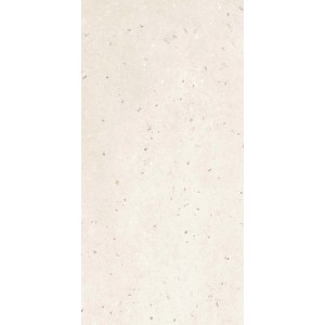 Piastrella Carles blanc in gres porcellanato rettificato 30x60 cm