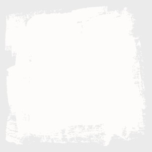 Primer ruvido monocomponente Bianco 0,5 l