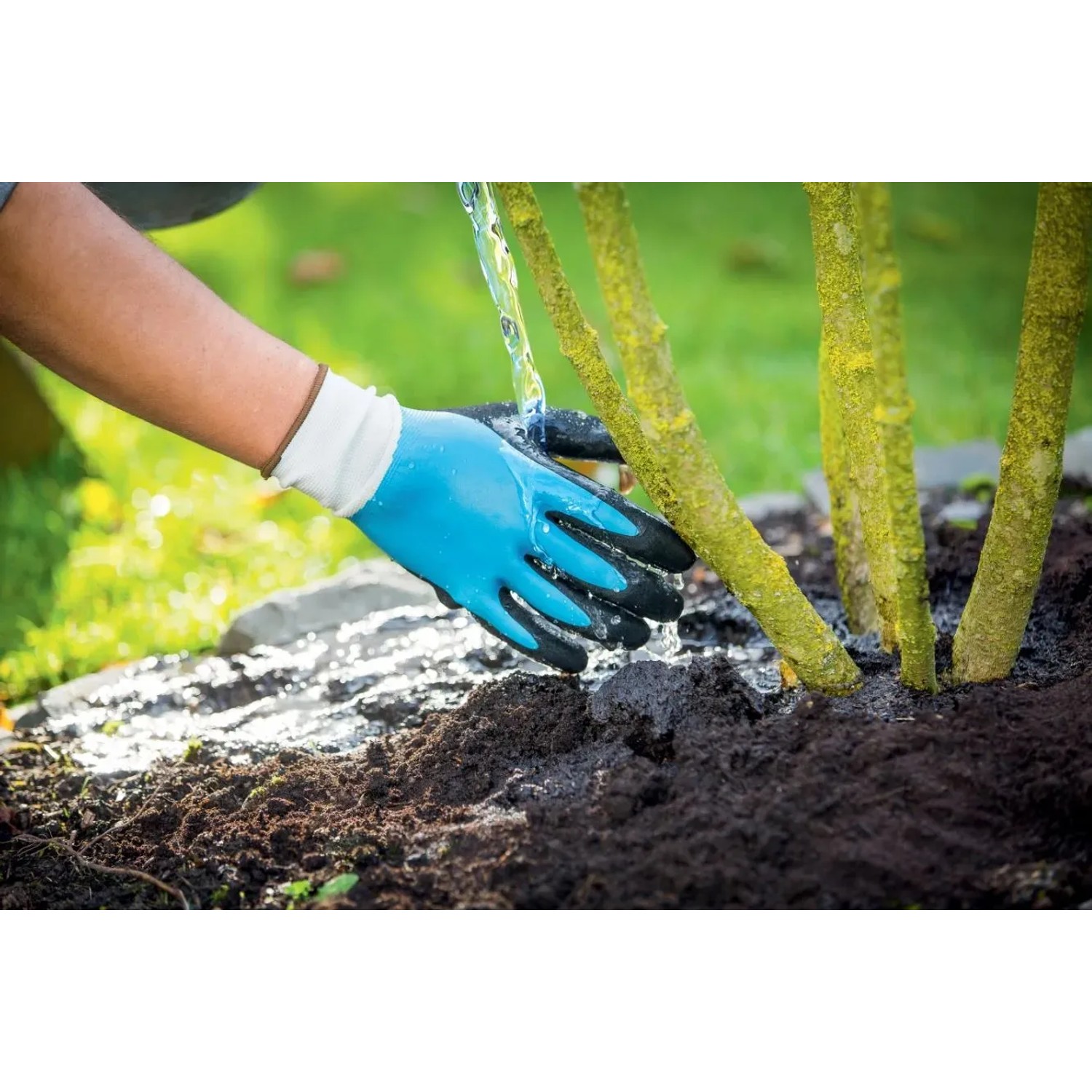 Guanto da giardinaggio blu e nero con rivestimento in nitrile, taglia 7, mentre annaffia una pianta.