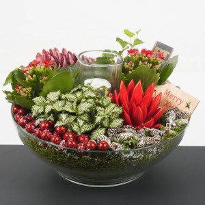 Decorazione festiva da tavolo: Composizione di piante con candela, palline rosse e pigne in ciotola di vetro.