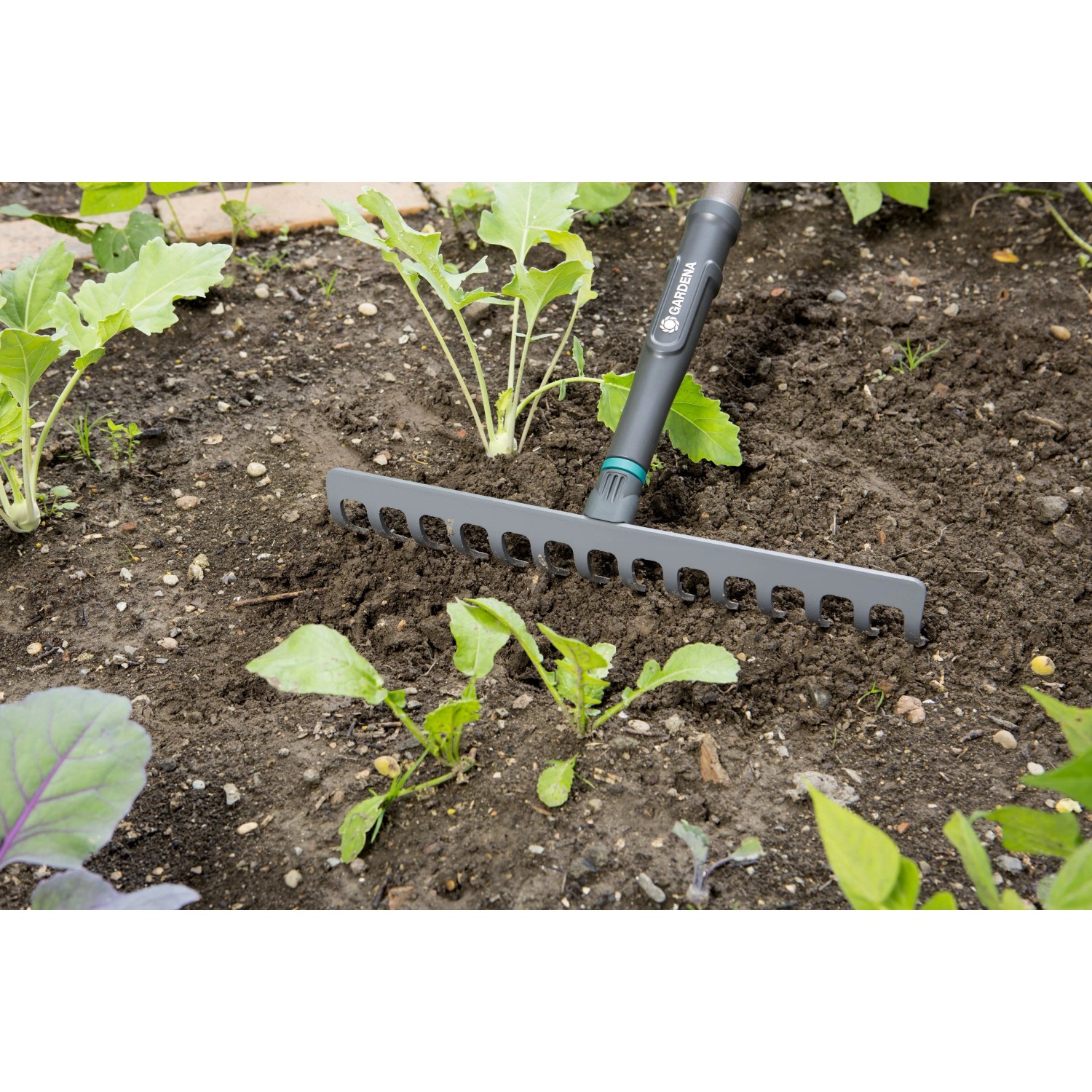 Rastrello Gardena in uso per la lavorazione del terreno in giardino.