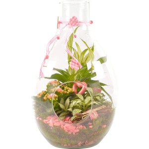 t.b.t. composizione di piante in vetro con decorazioni rosa, ideale per interni.