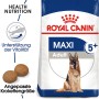Royal Canin Maxi Adult 5+ cibo secco per cani anziani di taglia grande in sacco da 4 kg.