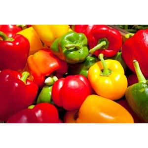 Peperoni colorati: peperoni rossi, gialli e verdi.