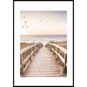 Quadri: Passerella in legno incorniciata verso la spiaggia con gabbiani al tramonto.