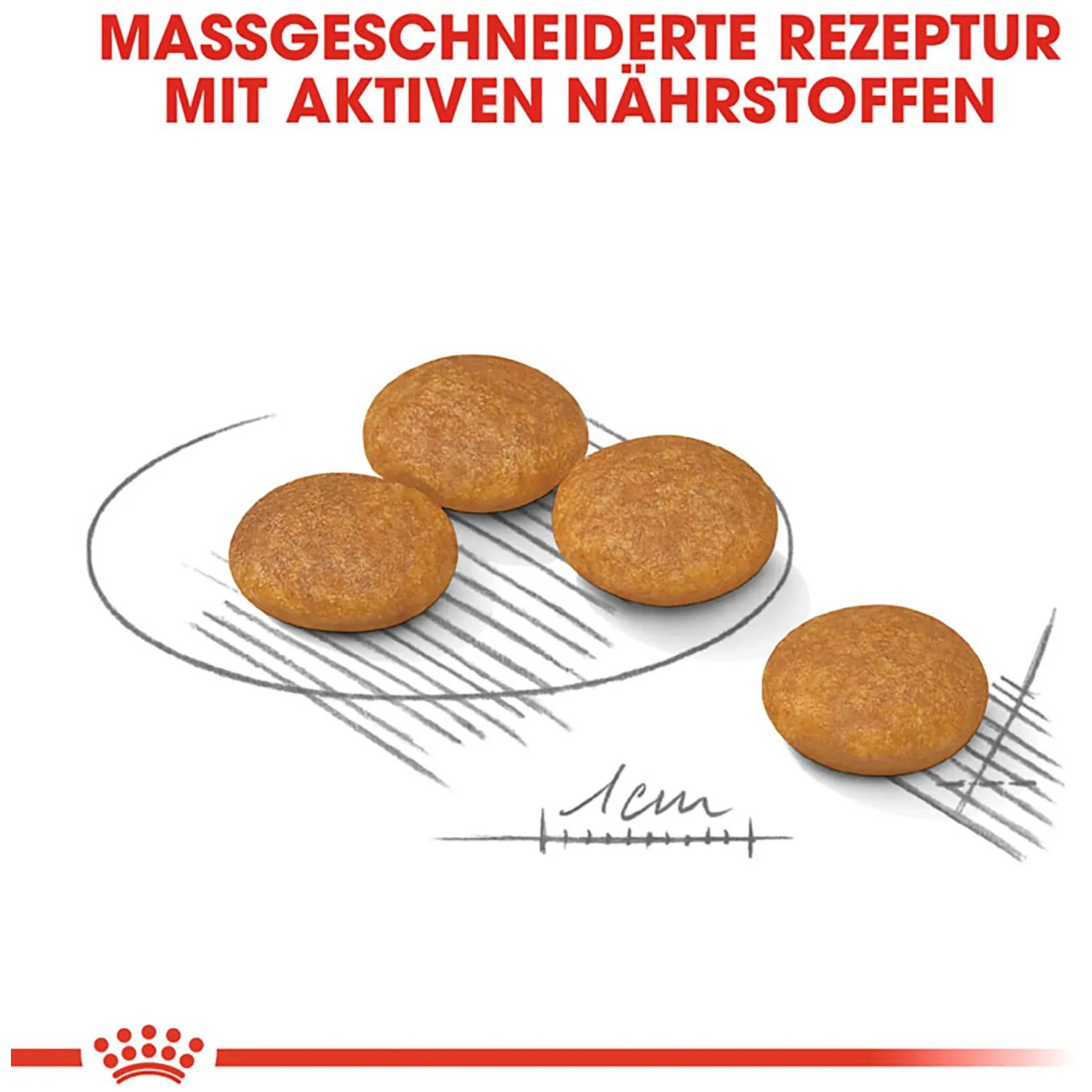 Royal Canin Dermacomfort Mini cibo secco per cani con pelle sensibile, crocchette.