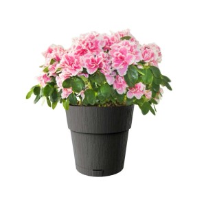 Vaso per piante plastica riciclata Grafite Ø 20 cm