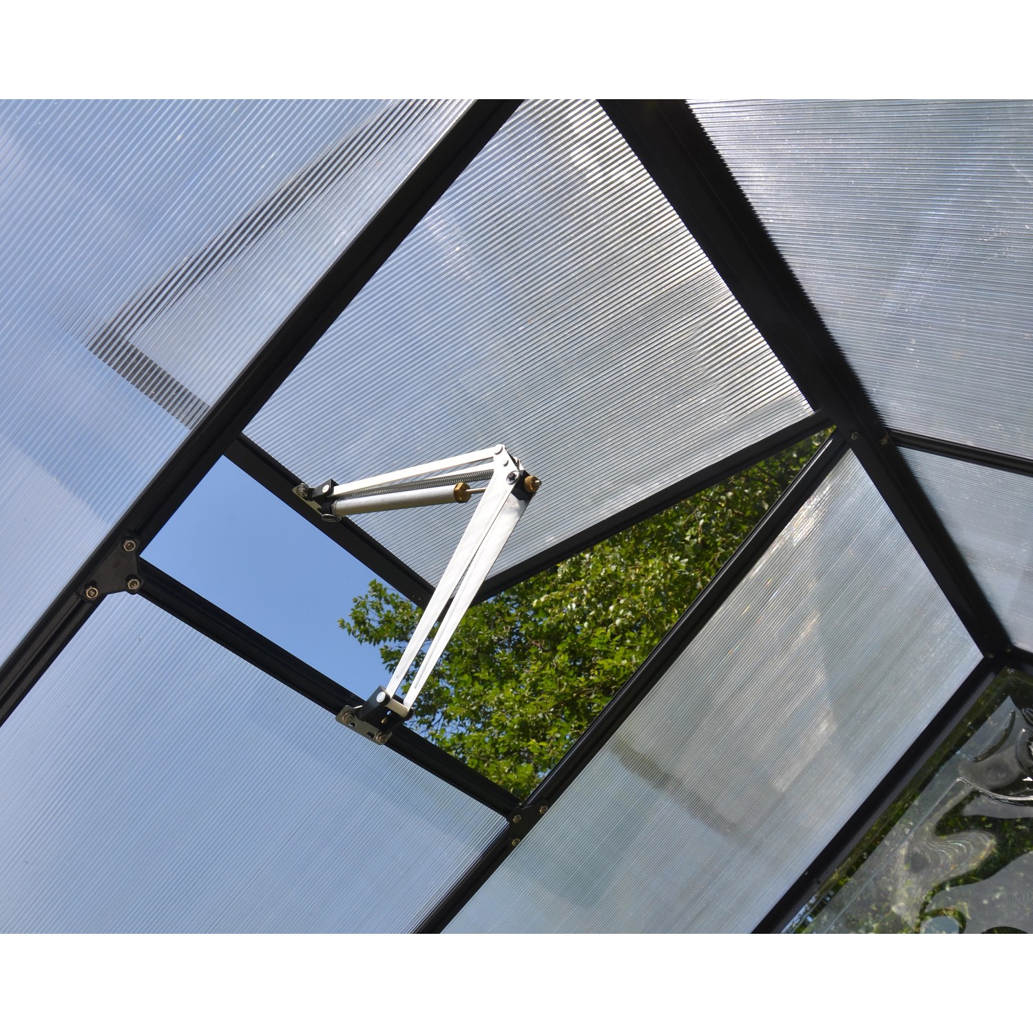Dettaglio: Serra Palram Canopia Victory Orangerie con finestra sul tetto aperta.