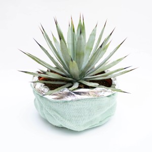 Cactus decorativo in vaso di tessuto color menta con bordo argentato.