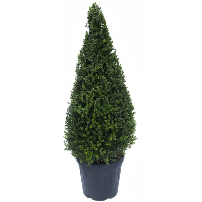 Bosso cono 100/125 cm