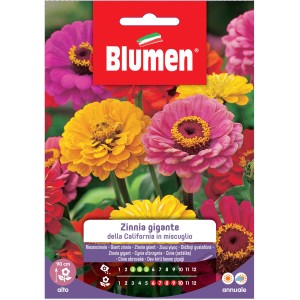 Confezione di semi di Zinnia 'California Giants' di Blumen, colori misti.