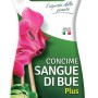 Fito Sangue di Bue Plus concime universale, flacone da 4L.