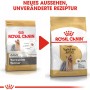 Royal Canin Yorkshire Terrier Adult cibo secco, confezione da 1,5 kg. Alimento secco per cani Yorkshire Terrier.