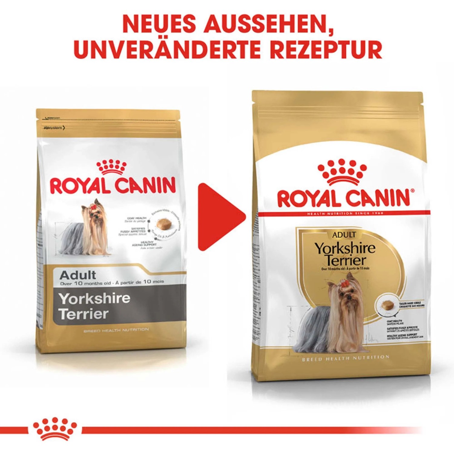 Royal Canin Yorkshire Terrier Adult cibo secco, confezione da 1,5 kg. Alimento secco per cani Yorkshire Terrier.